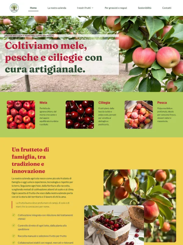 Azienda agricola biologica &ndash; Provincia di Padova Sito vetrina, 9 pagine: catalogo prodotti stagionali con disponibilit&agrave; aggiornata, pagina dedicata alla vendita diretta e modulo ordini per ristoratori. SEO locale orientato a ricerche km0.